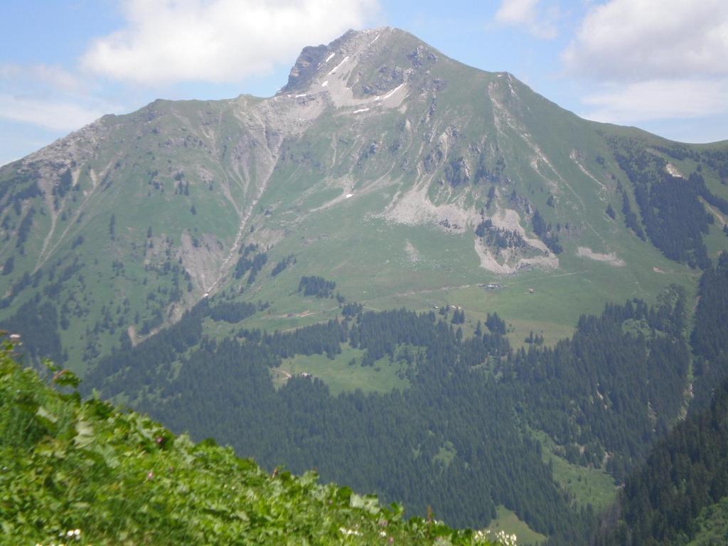 Chambre D'Hote La Petite Bergerie Abondance Exteriör bild